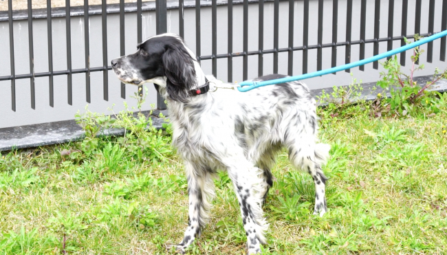 Fotoğraf: TRT Haber